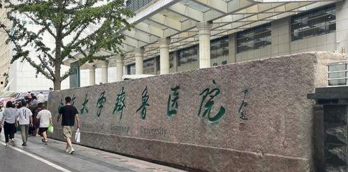 齐鲁医学院爆料事件最新,真相与争议交织的教育丑闻揭露