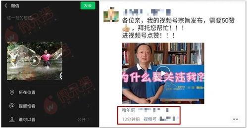 爆料视频每天更新一次,新鲜资讯一网打尽  第1张